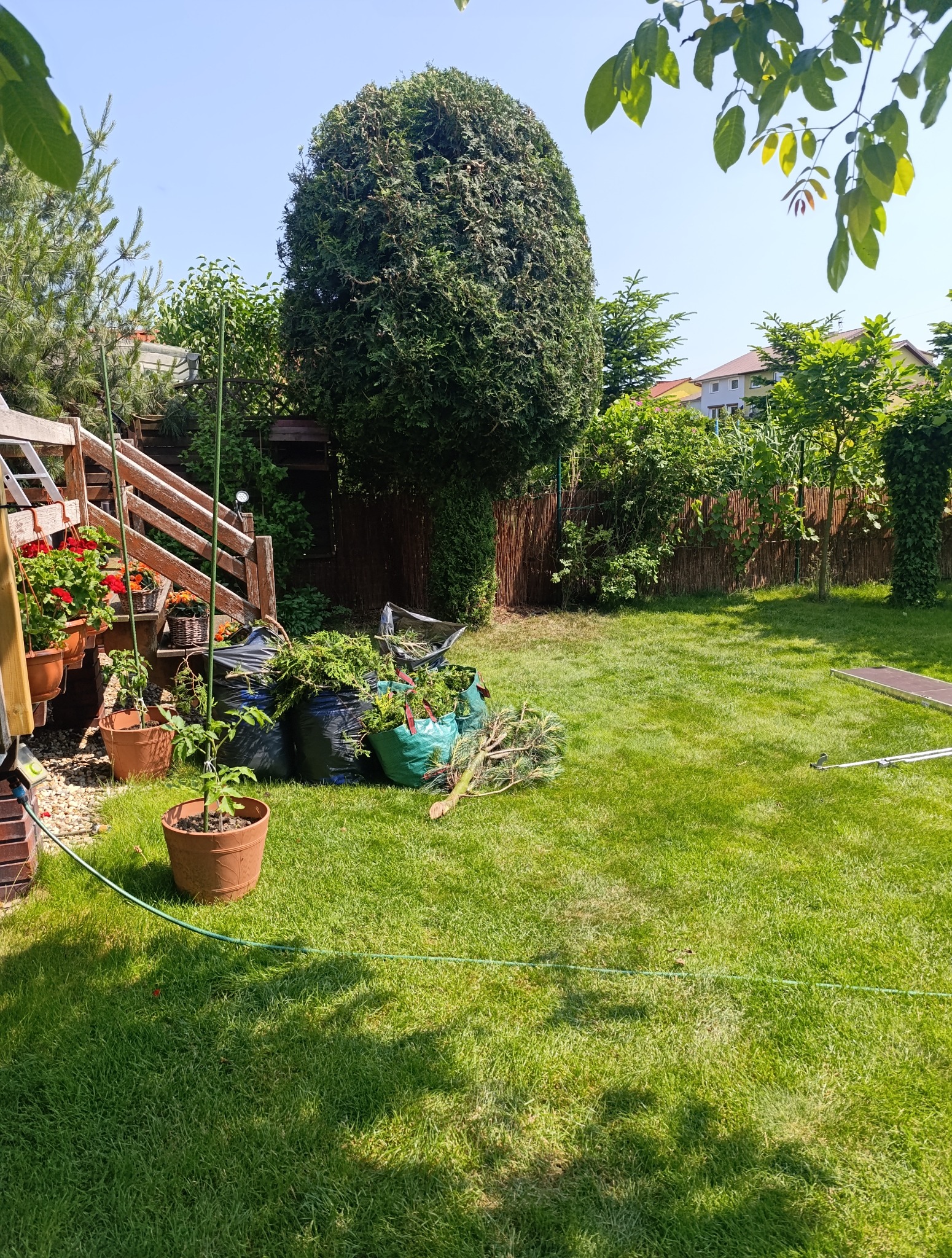 Zadbany trawnik po pracach ogrodowych. Worki z odpadami zielonymi, przycięte gałęzie, donice z kwiatami i roślinami. Widoczny fragment drewnianej konstrukcji.