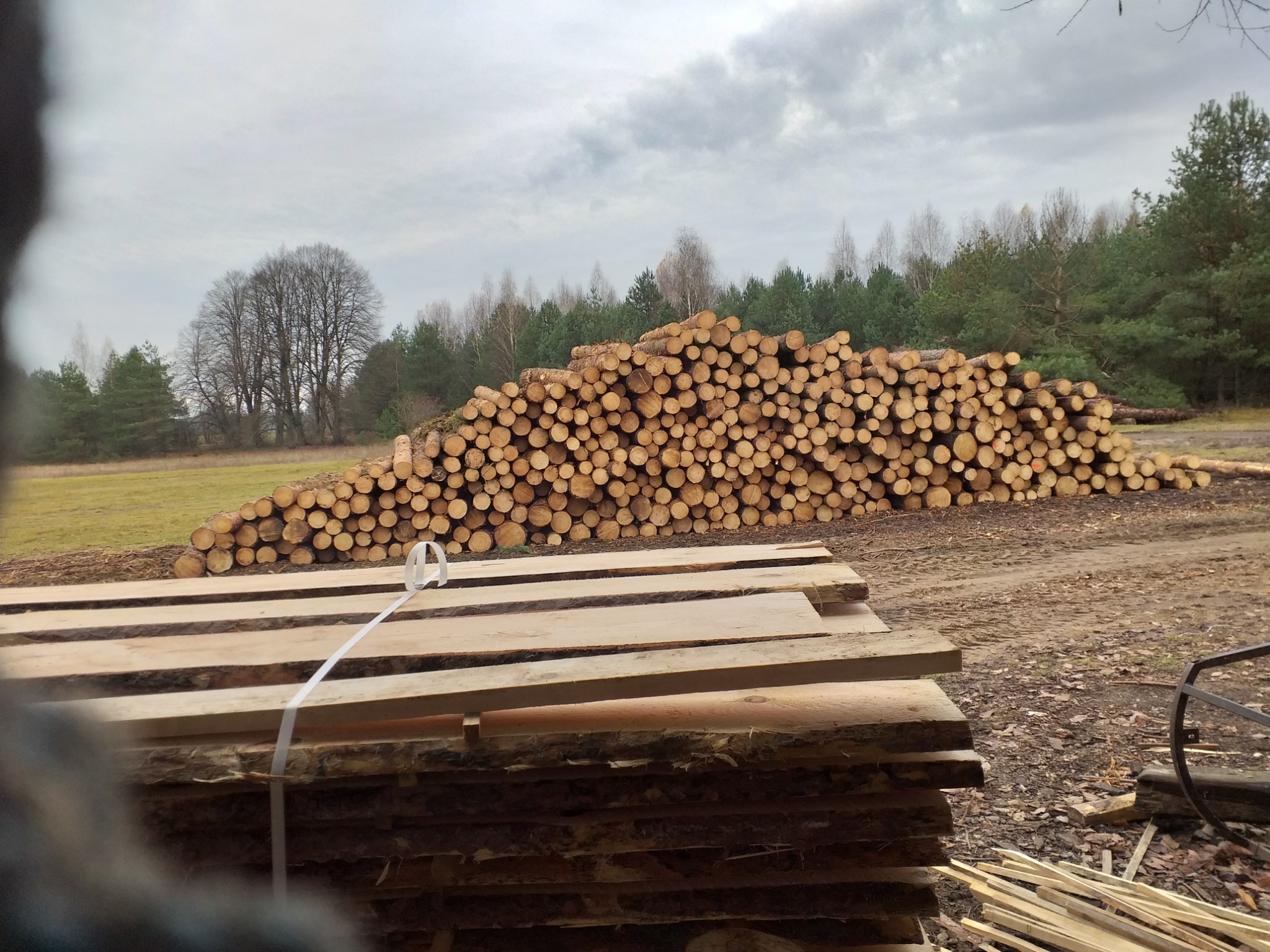 Stos pociętych kłód drewna ułożonych na ziemi, obok ułożone deski. Tło stanowią drzewa i pochmurne niebo. Widoczne ślady opon na ziemi.