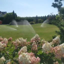 Zakaz kopiowania i rozpowszechniania