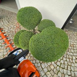 Koszenie trawy Jelenia Góra 3