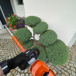 Ogrodniczy Barber - Rośliny i podłoża Jelenia Góra