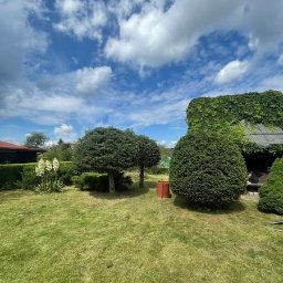 Ogrodniczy Barber - Zadbany ogród z równo przystrzyżonym trawnikiem, ozdobnymi krzewami i budynkiem porośniętym bluszczem w tle, pod błękitnym niebem z białymi obłokami.