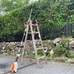 Ogrodniczy Barber - Drabina z narzędziami Stihl: nożyce do żywopłotu i podkaszarka, na tle żywopłotu i kamiennego murku z dekoracjami ogrodowymi.