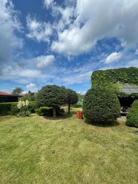 Zadbany ogród z równo przystrzyżonym trawnikiem, ozdobnymi krzewami i budynkiem porośniętym bluszczem w tle, pod błękitnym niebem z białymi obłokami.