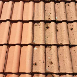 Czerwona dachówka ceramiczna: połowa dachu wyczyszczona, druga pokryta mchem i zabrudzeniami. Efekt czyszczenia dachu widoczny.