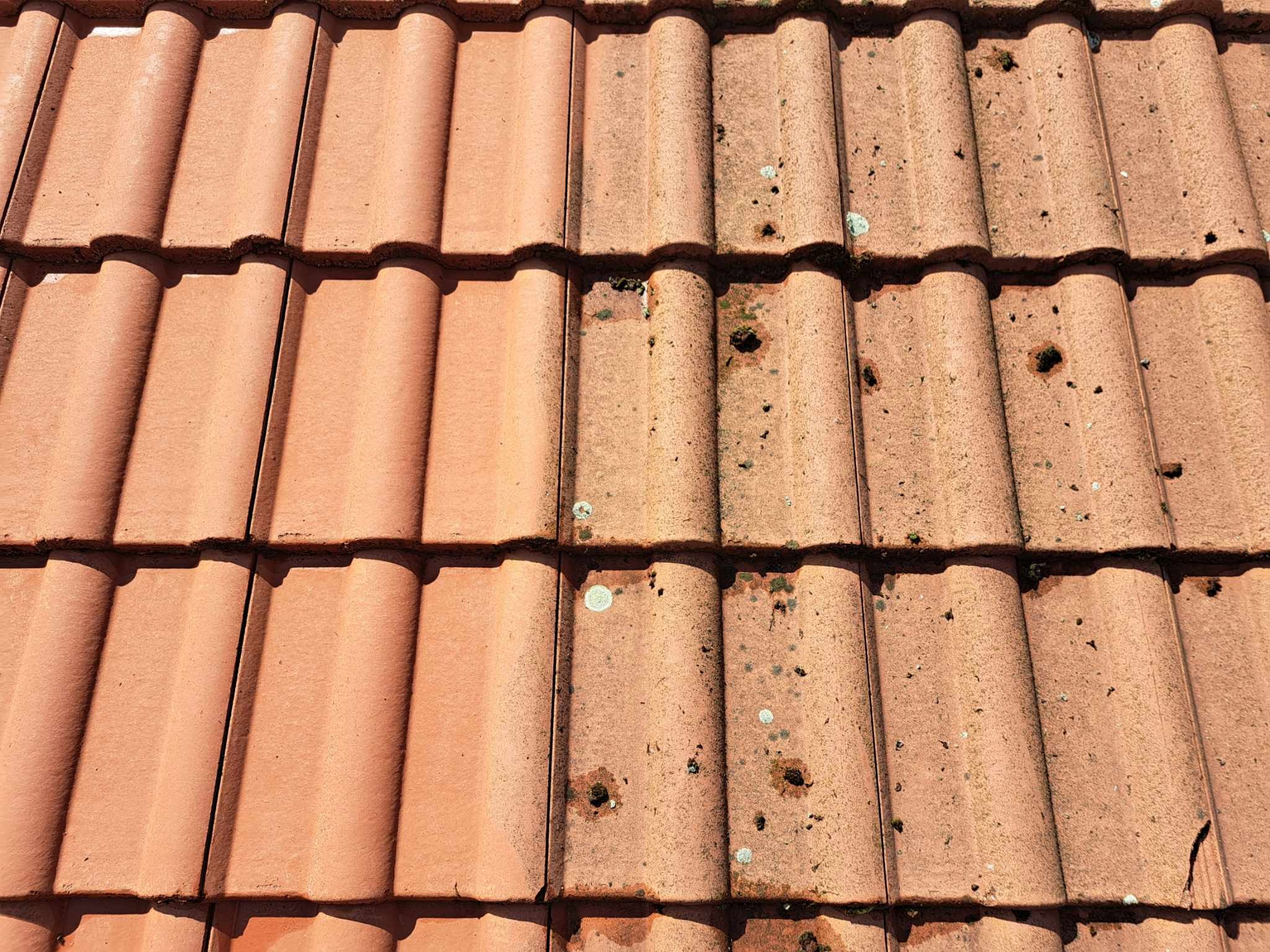 Czerwona dachówka ceramiczna: połowa dachu wyczyszczona, druga pokryta mchem i zabrudzeniami. Efekt czyszczenia dachu widoczny.