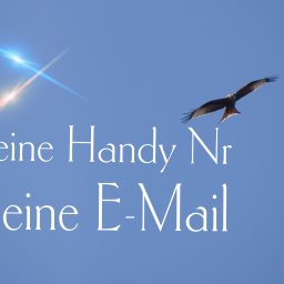 Kamil Grranzin - Błękitne tło z białym tekstem 'Deine Handy Nr Deine E-Mail', lecący ptak drapieżny w prawym górnym rogu i odbicie światła w lewym górnym rogu.