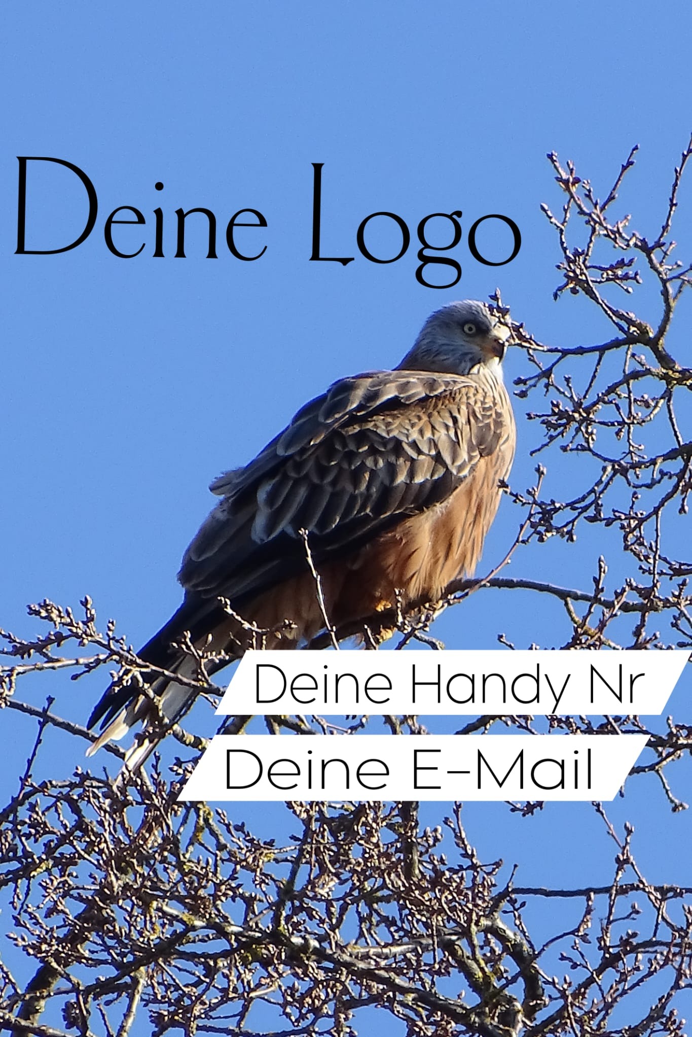 Grafika z orłem siedzącym na gałęzi, na której umieszczono tekst 'Deine Logo', 'Deine Handy Nr' i 'Deine E-Mail' na tle błękitnego nieba.