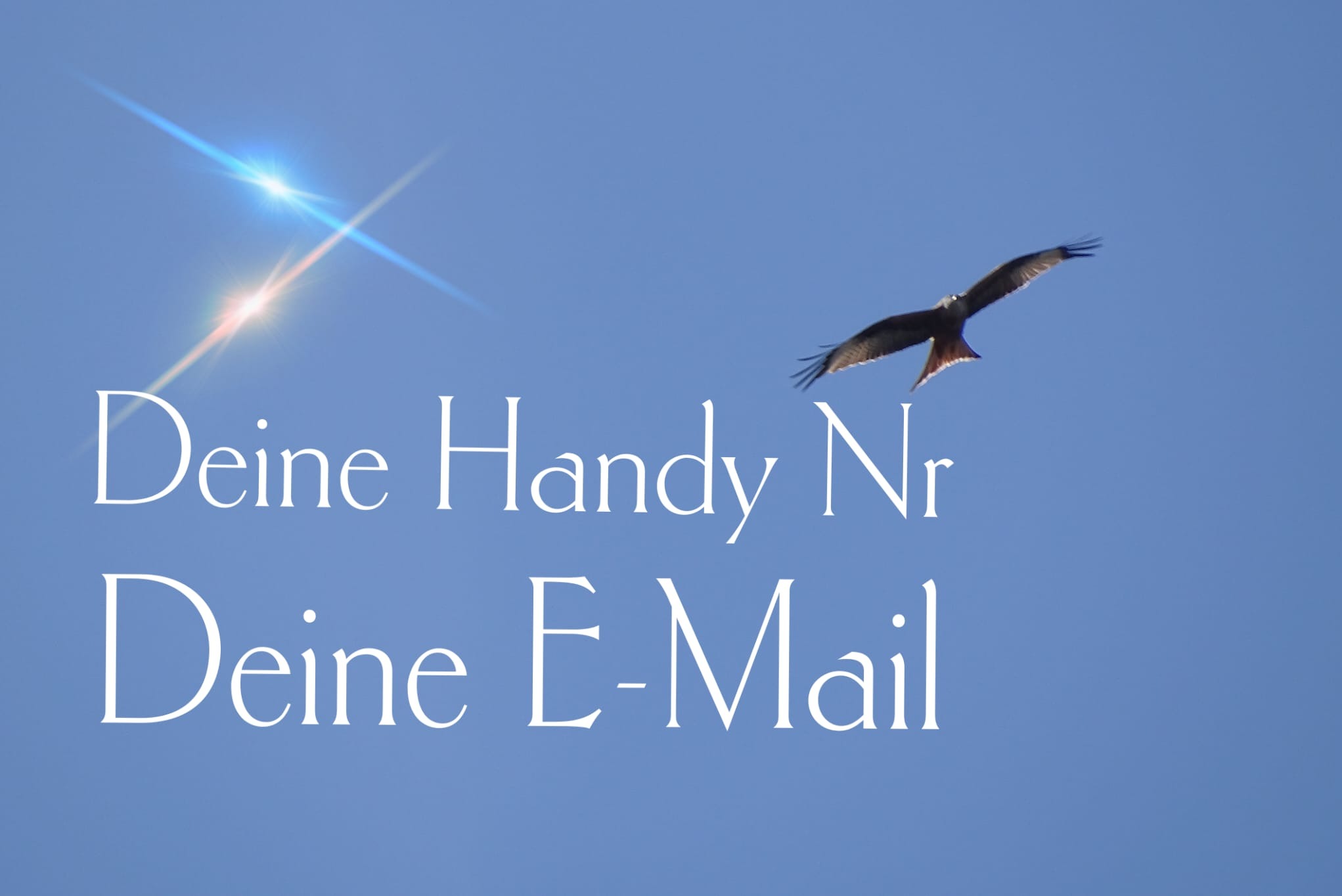Błękitne tło z białym tekstem 'Deine Handy Nr Deine E-Mail', lecący ptak drapieżny w prawym górnym rogu i odbicie światła w lewym górnym rogu.
