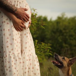 Sesja ciążowa Mierzyn 1
