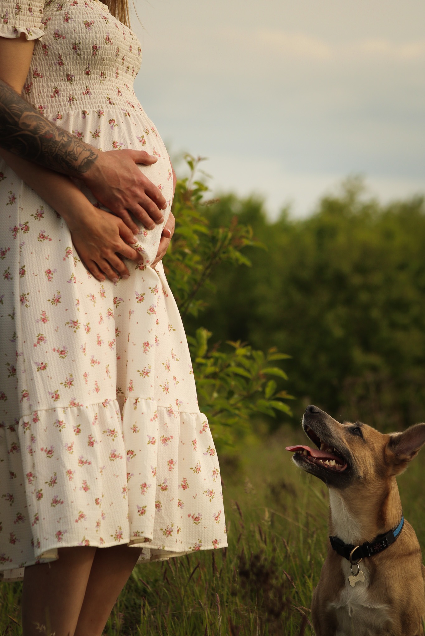 Kobieta w kwiecistej sukience ciążowej, z tatuażem na ramieniu, obejmuje brzuch. Obok niej siedzi pies z wywieszonym językiem, spoglądający w górę na łące.