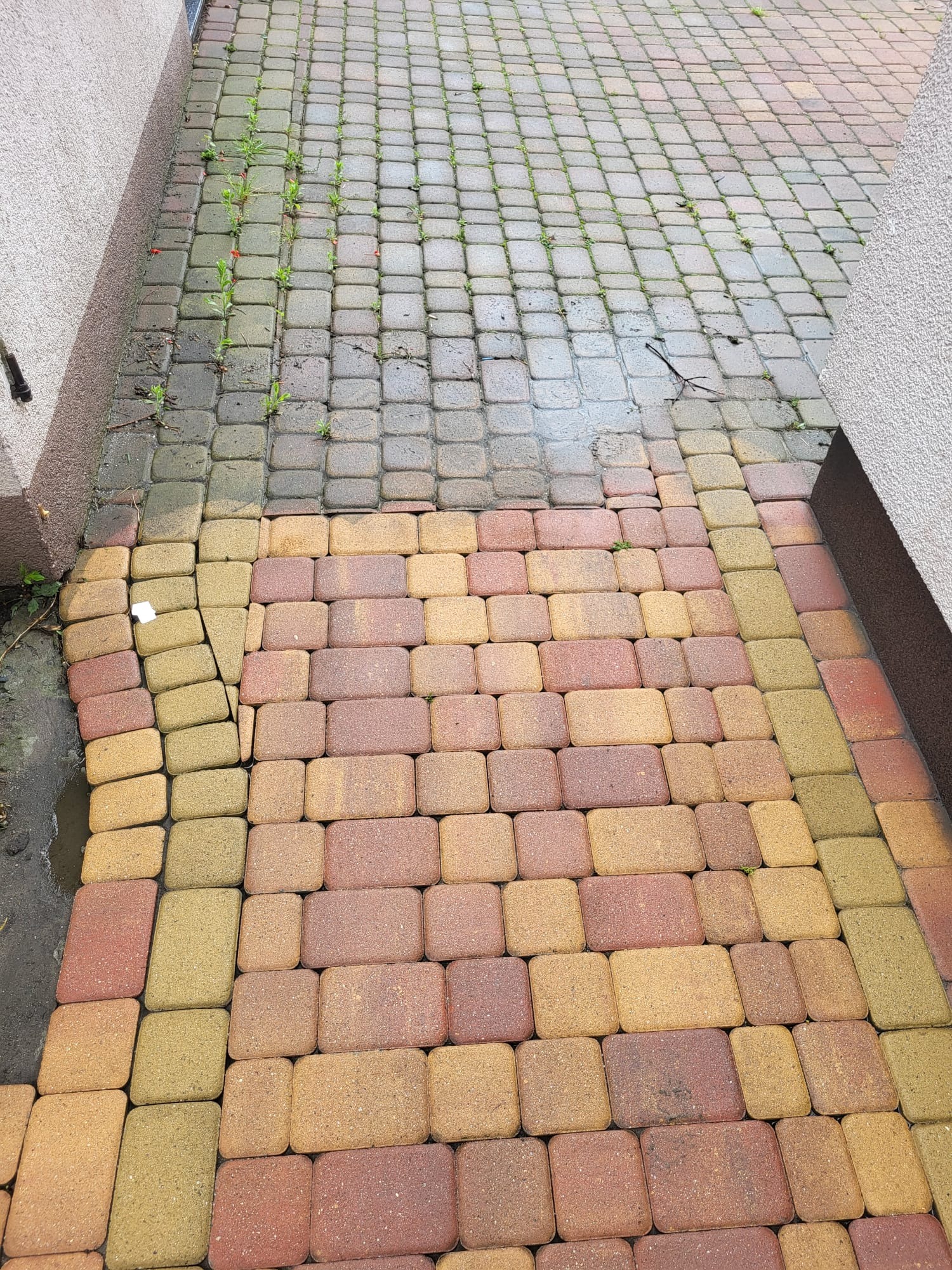 Częściowo umyta kostka brukowa, widoczne różnice w czystości, zieleń między kostkami. Fragment elewacji budynku po bokach kadru.