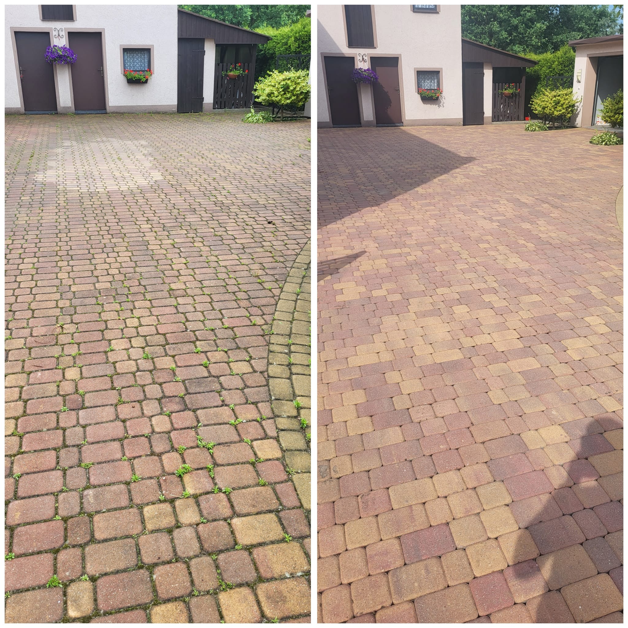 Zdjęcie kostki brukowej przed i po czyszczeniu, z widocznymi różnicami w kolorze i braku mchu/chwastów. Ujęcie z bliska, podkreślające detale.