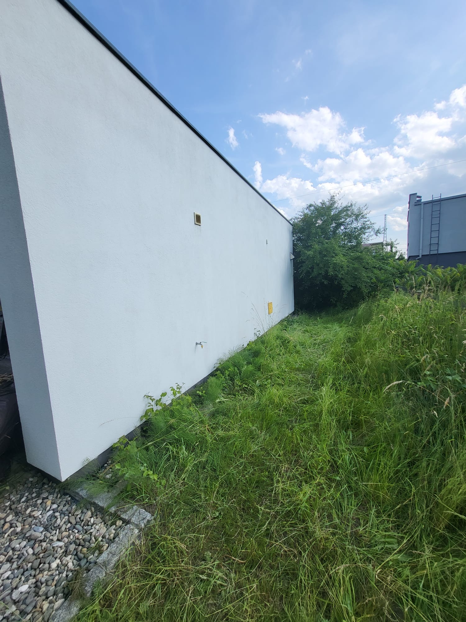 Jasna elewacja budynku z widocznymi śladami zabrudzeń i porastającą trawą, sugerująca potrzebę czyszczenia i pielęgnacji.