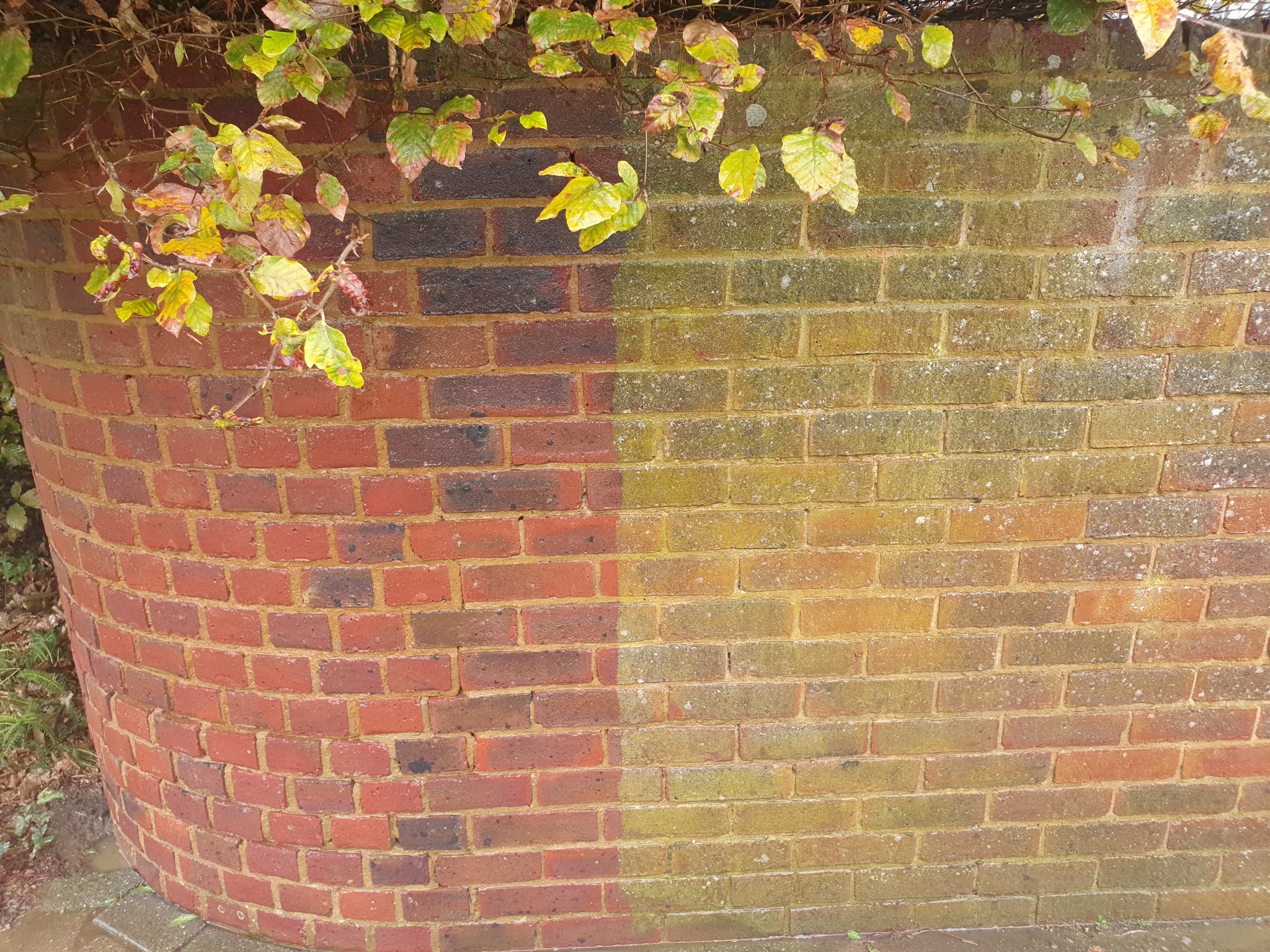 Czyszczenie ceglanego muru w Mysłowicach, widoczna różnica między wyczyszczoną a zabrudzoną częścią. Bluszcz zwisa z góry.