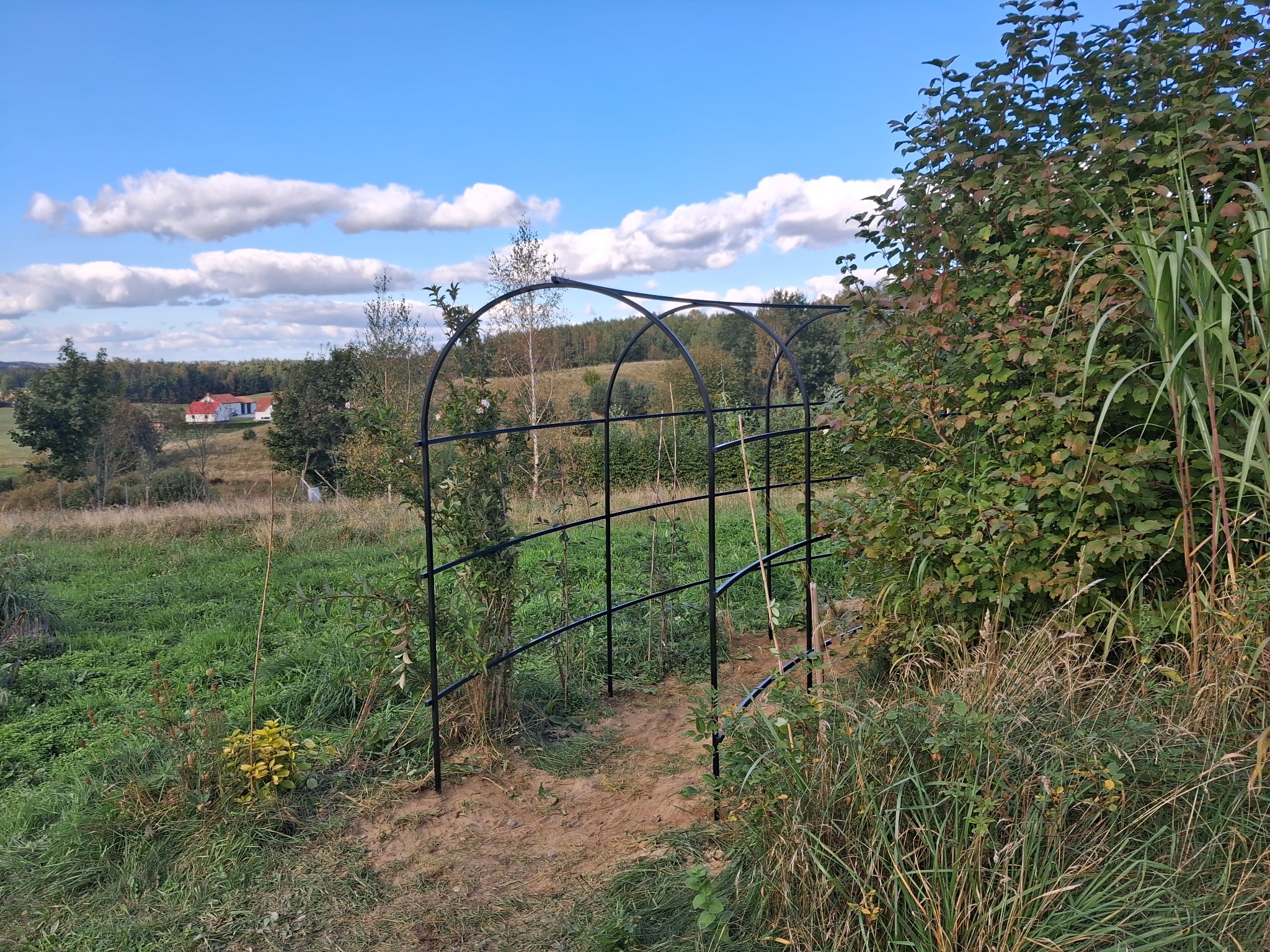 Czarna, metalowa konstrukcja łukowa w ogrodzie, z widokiem na oddalony dom i błękitne niebo z chmurami. Roślinność otacza konstrukcję, tworząc naturalne przejście.