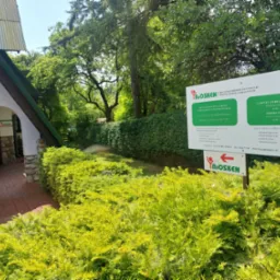 Wejście do gabinetu alergologicznego z tablicą informacyjną o godzinach pracy i zakresie badań, otoczone zielenią. Widok w słoneczny dzień.