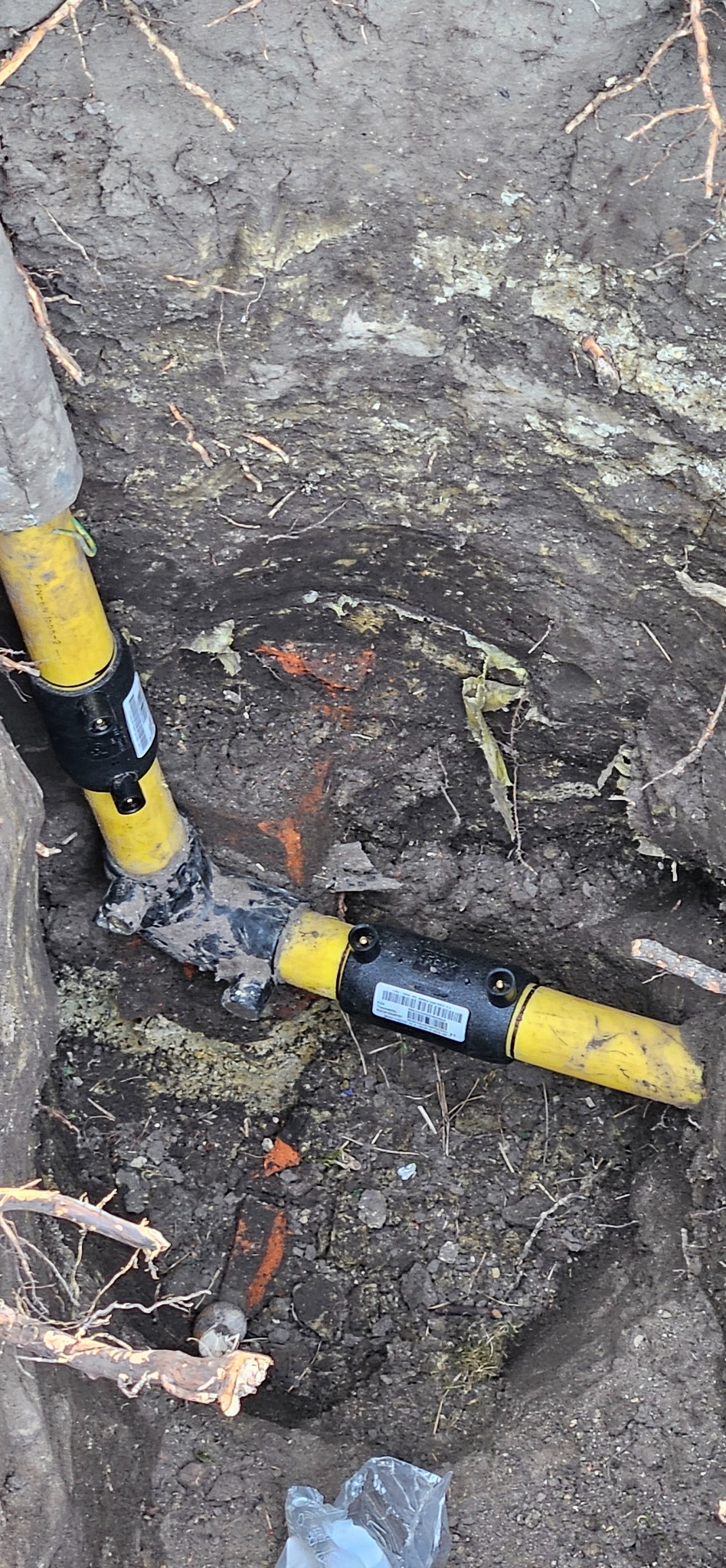 Żółta rura gazowa z czarnymi złączkami w wykopie ziemnym, widoczne korzenie i fragmenty gruzu. Instalacja gazowa w trakcie prac ziemnych.