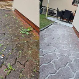 Kostka brukowa przed i po czyszczeniu: lewa strona z mchem i zabrudzeniami, prawa strona czysta, ukazująca naturalny kolor i strukturę kostki.