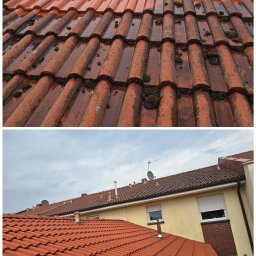 Czysty Ejber - Czerwona dachówka ceramiczna, częściowo pokryta mchem i wilgocią, kontrastuje z czystą, suchą powierzchnią po zabiegu. Widok z góry na fragment dachu.
