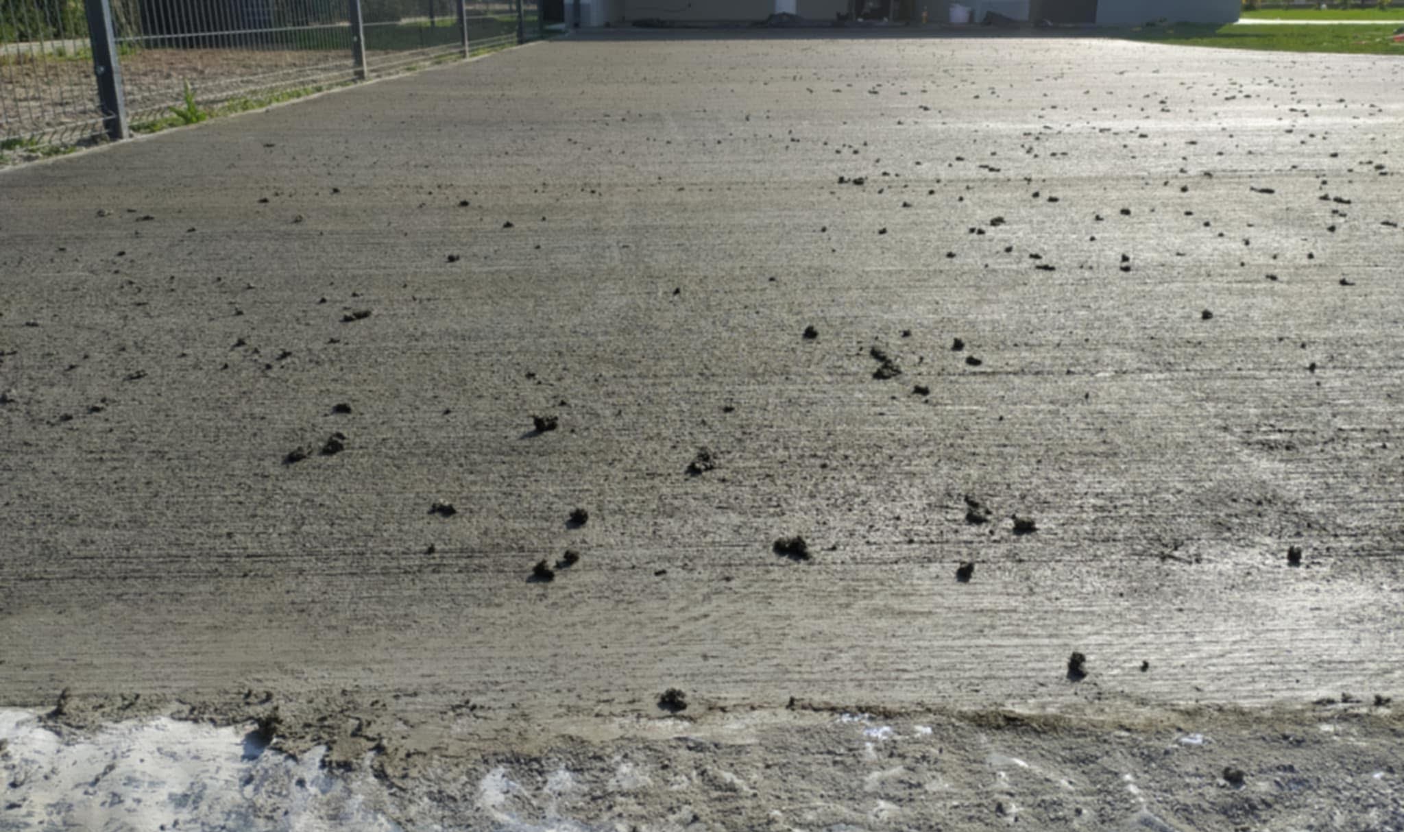 Świeżo wylana, szara posadzka z widocznymi śladami po narzędziach, z drobnymi zanieczyszczeniami na powierzchni. W tle ogrodzenie i zieleń.
