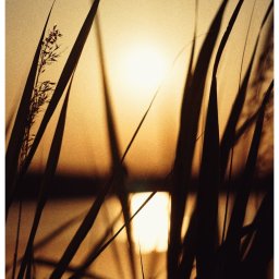 Fotograf ślubny Gniezno 1