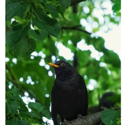 Fotograf ślubny Gniezno 2