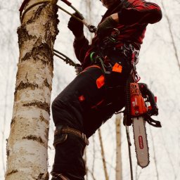 W koronach - Prace Ogrodnicze Ełk