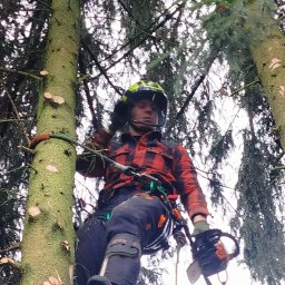 Pielęgnacja ogrodów Ełk 3