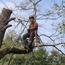 Pielęgnacja ogrodów Ełk 4