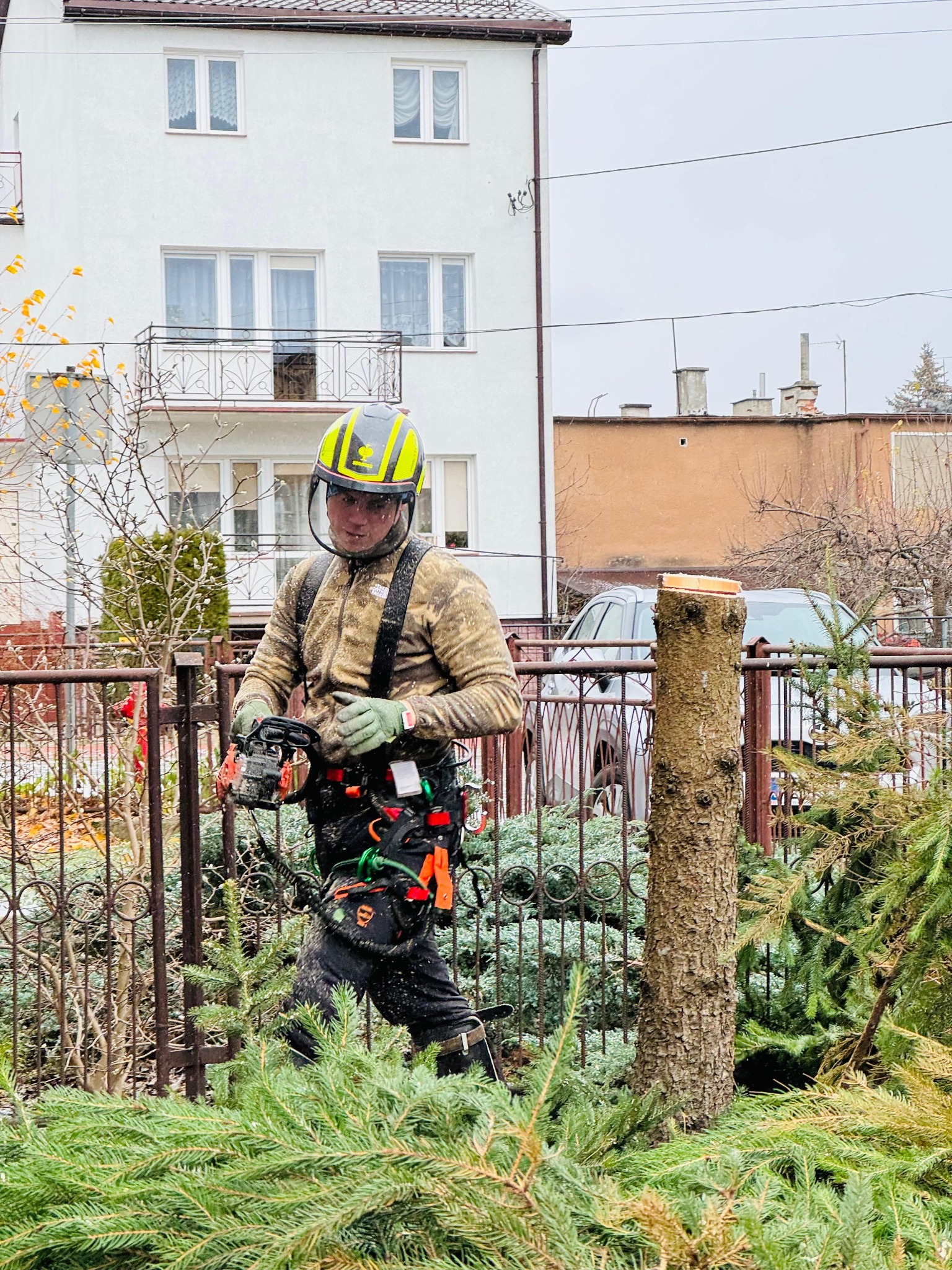 Pracownik w kasku i z piłą spalinową przy pniu ściętego drzewa. W tle budynek mieszkalny i samochód. Ścięte gałęzie na pierwszym planie. Wycinka drzew w przestrzeni miejskiej.