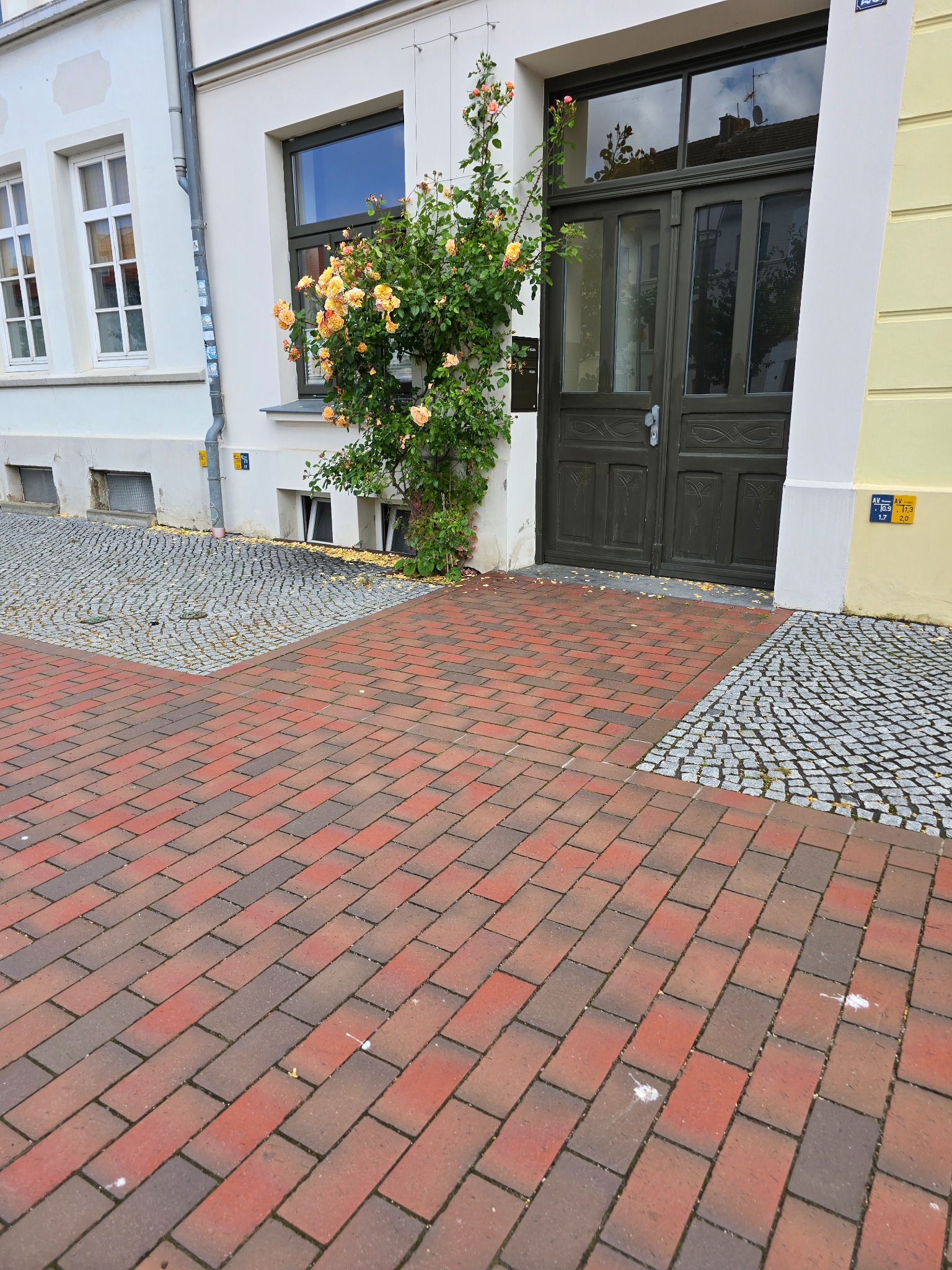 Elewacja budynku z drewnianymi drzwiami, obok kwitnący krzew róży pnącej. Czerwona cegła chodnika kontrastuje z szarą kostką brukową.