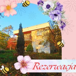 Rezerwacja na dom z klimatem, ale nie w obowiązujących trenach 