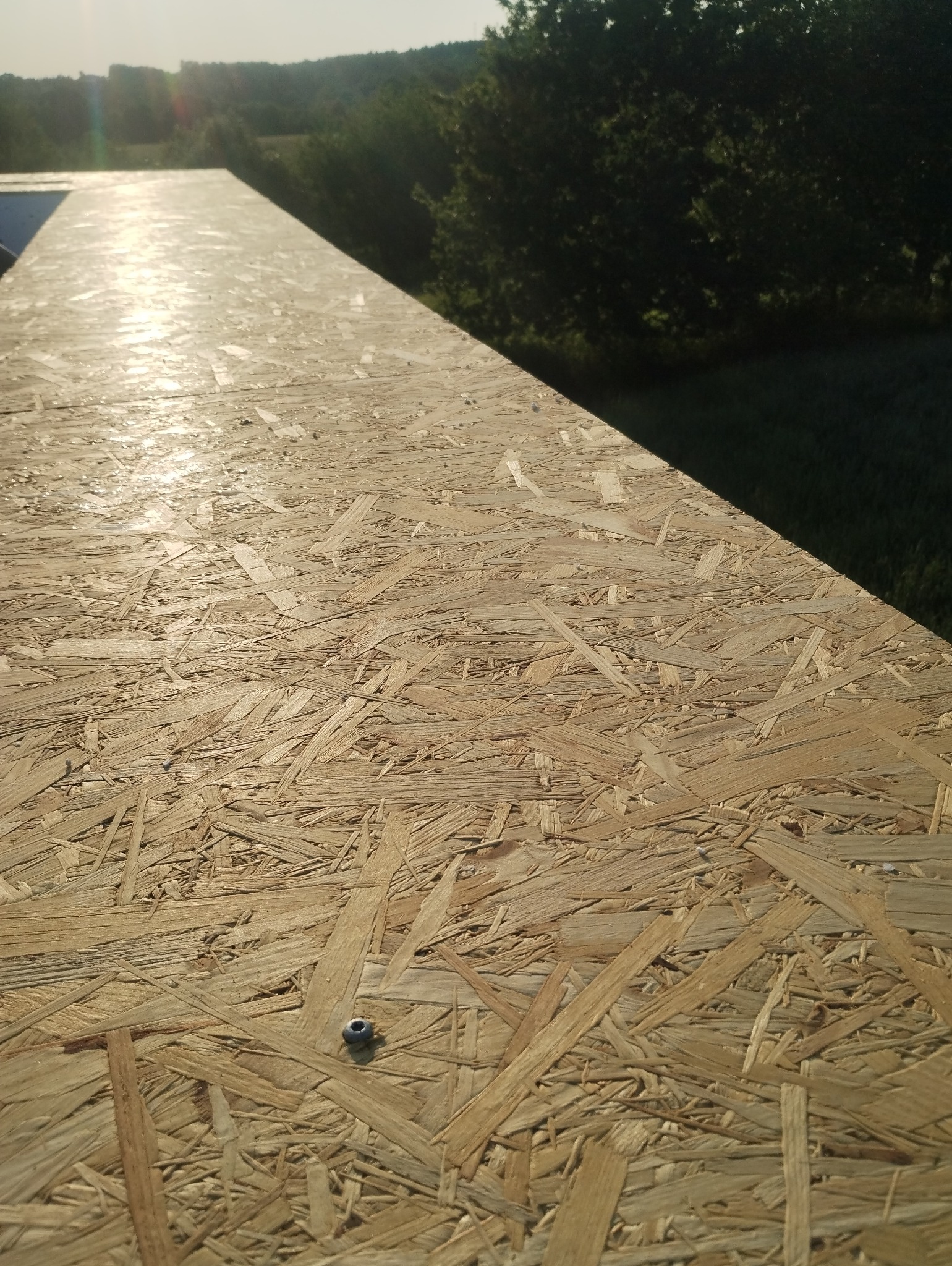 Płyta OSB na dachu w słoneczny dzień, widoczny fragment lasu w tle. Na płycie widoczny pojedynczy wkręt mocujący. Układanie poszycia dachowego.