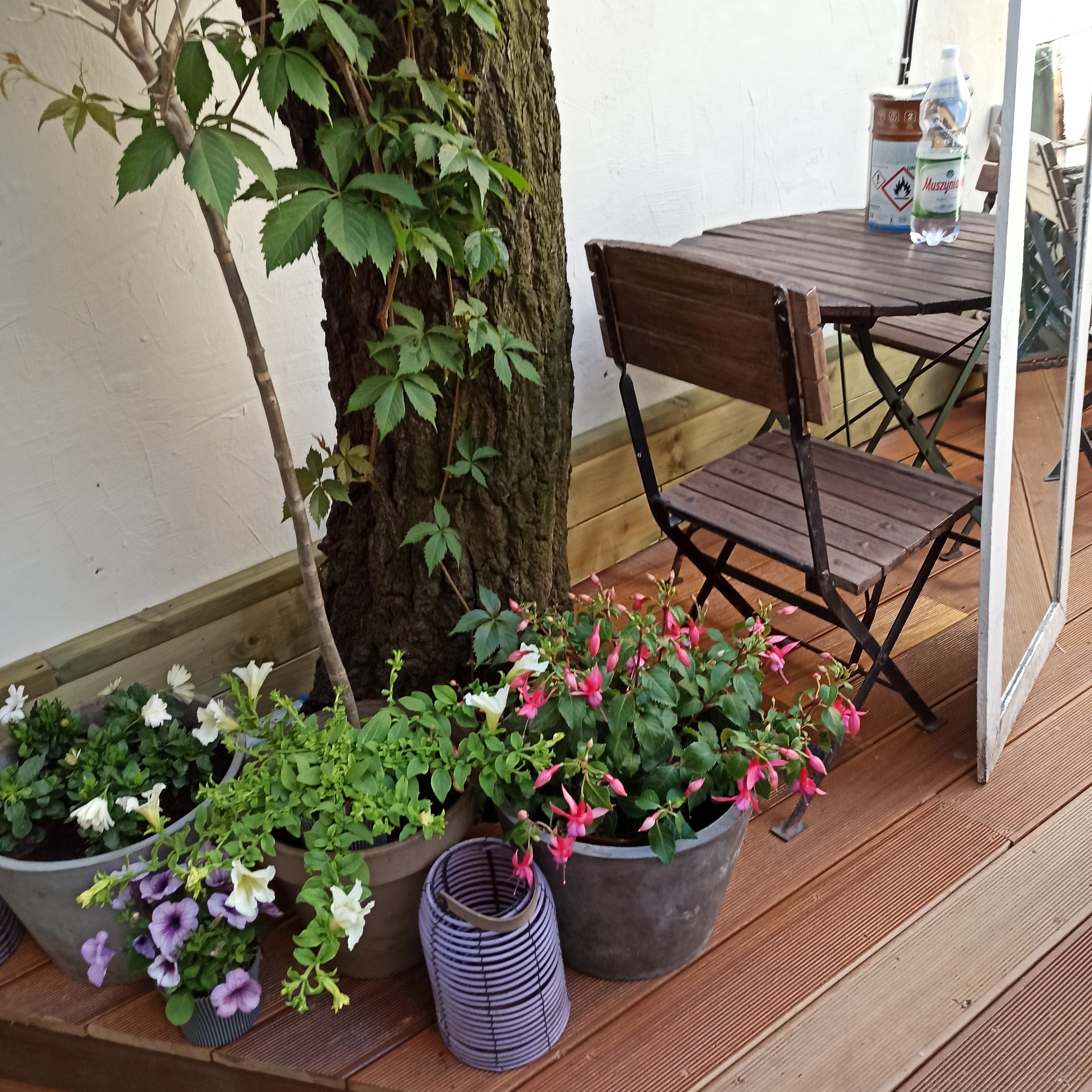 Drewniany taras z doniczkami kwiatów, stolikiem i krzesłami. Na stole butelka wody i pojemnik z chemikaliami. Widoczna ściana budynku z pnącą rośliną.