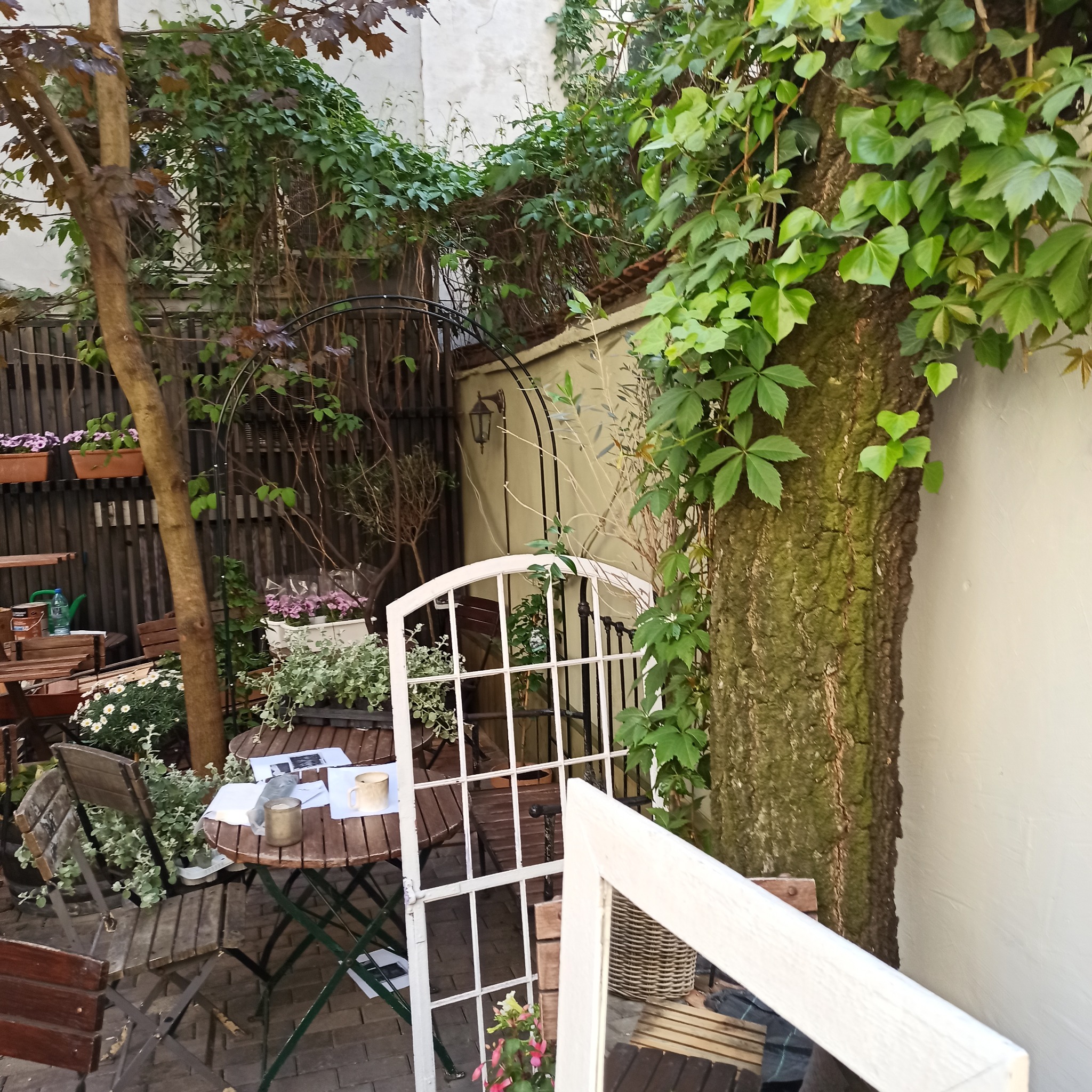 Kameralny ogród w Poznaniu po renowacji: drewniane meble ogrodowe, odnowiona pergola i bujna roślinność tworzą przytulną przestrzeń.