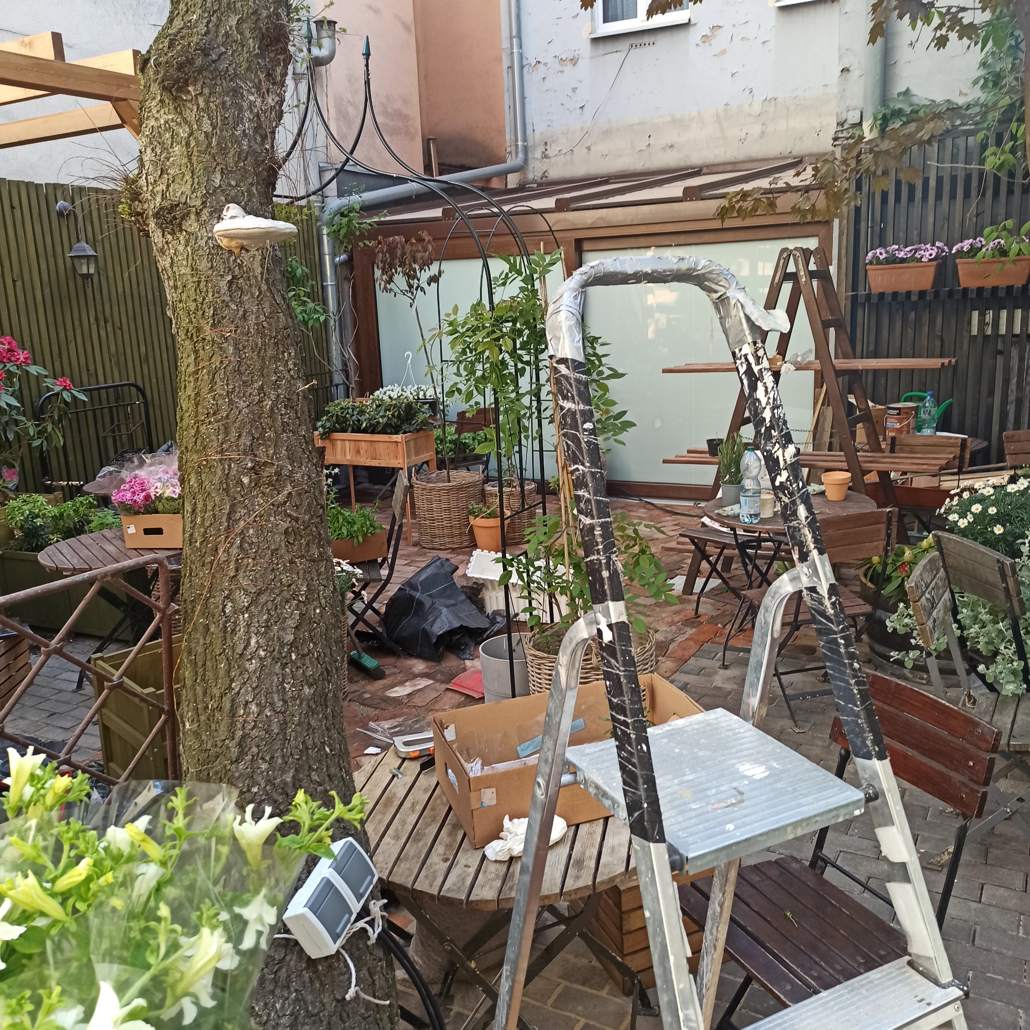Przestrzeń w trakcie aranżacji ogrodu: drzewo, drabiny, kwiaty w doniczkach, meble ogrodowe, narzędzia. Widoczne ślady prac wykończeniowych.