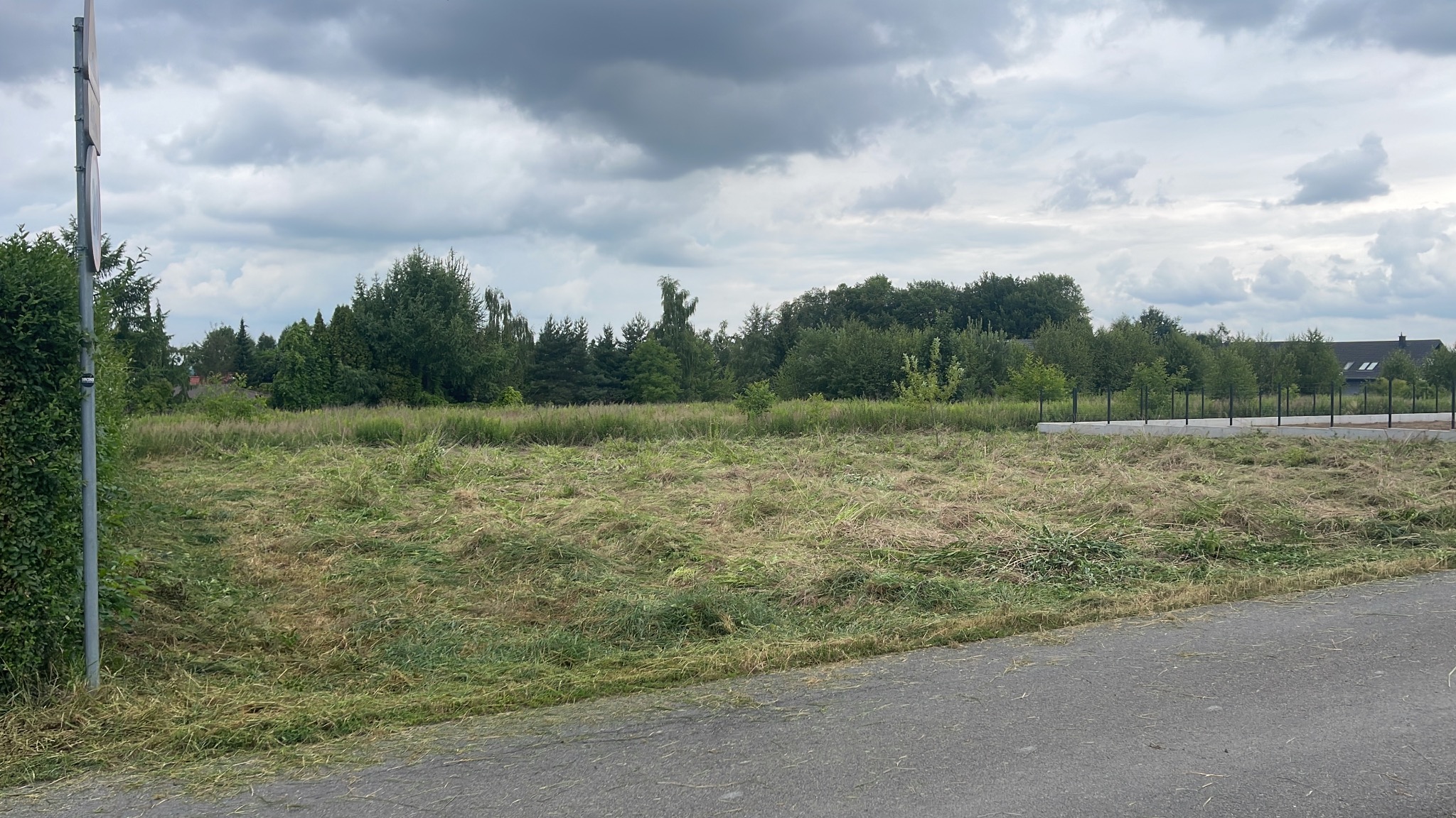 Świeżo skoszona trawa na działce z widocznymi drzewami i fragmentem betonowej konstrukcji w tle, pochmurne niebo.
