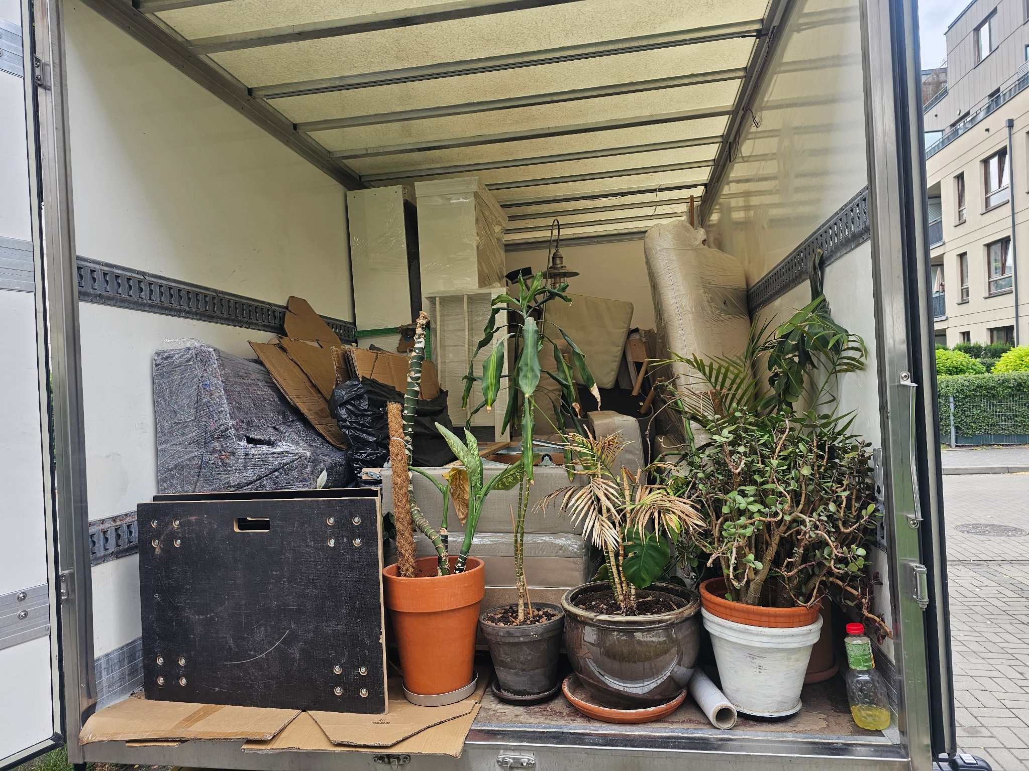 Wnętrze busa załadowanego meblami, kartonami i roślinami doniczkowymi podczas przeprowadzki. Widoczne zabezpieczone przedmioty i różnorodne gatunki roślin.