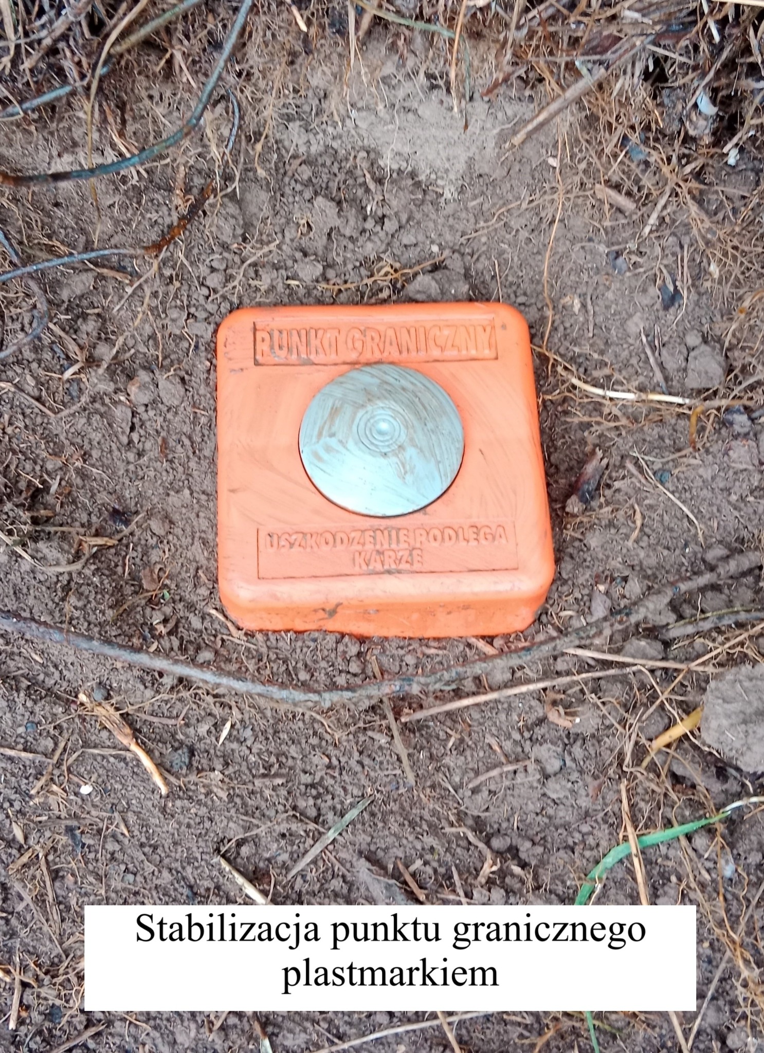Pomarańczowy plastmark z metalową nakładką, oznaczający punkt graniczny, umieszczony w ziemi z suchymi trawami. Widok z góry.