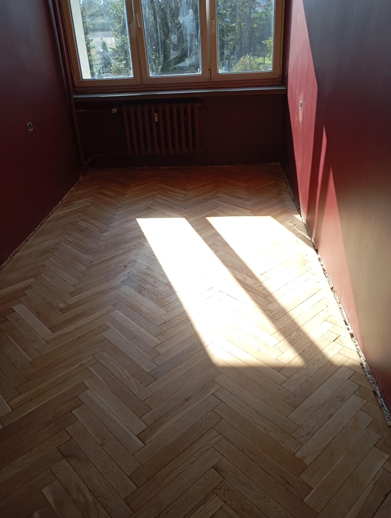 Parkiet dębowy ułożony w jodełkę, po cyklinowaniu i lakierowaniu, z wyraźnym pasmem światła słonecznego, na tle bordowych ścian i okna z widokiem na drzewa.