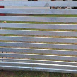 Dominika Zborowska - Szara metalowa brama wjazdowa z poziomymi szczeblami, przez które widać trawnik i fragment domu w tle. W tle widoczny pies.