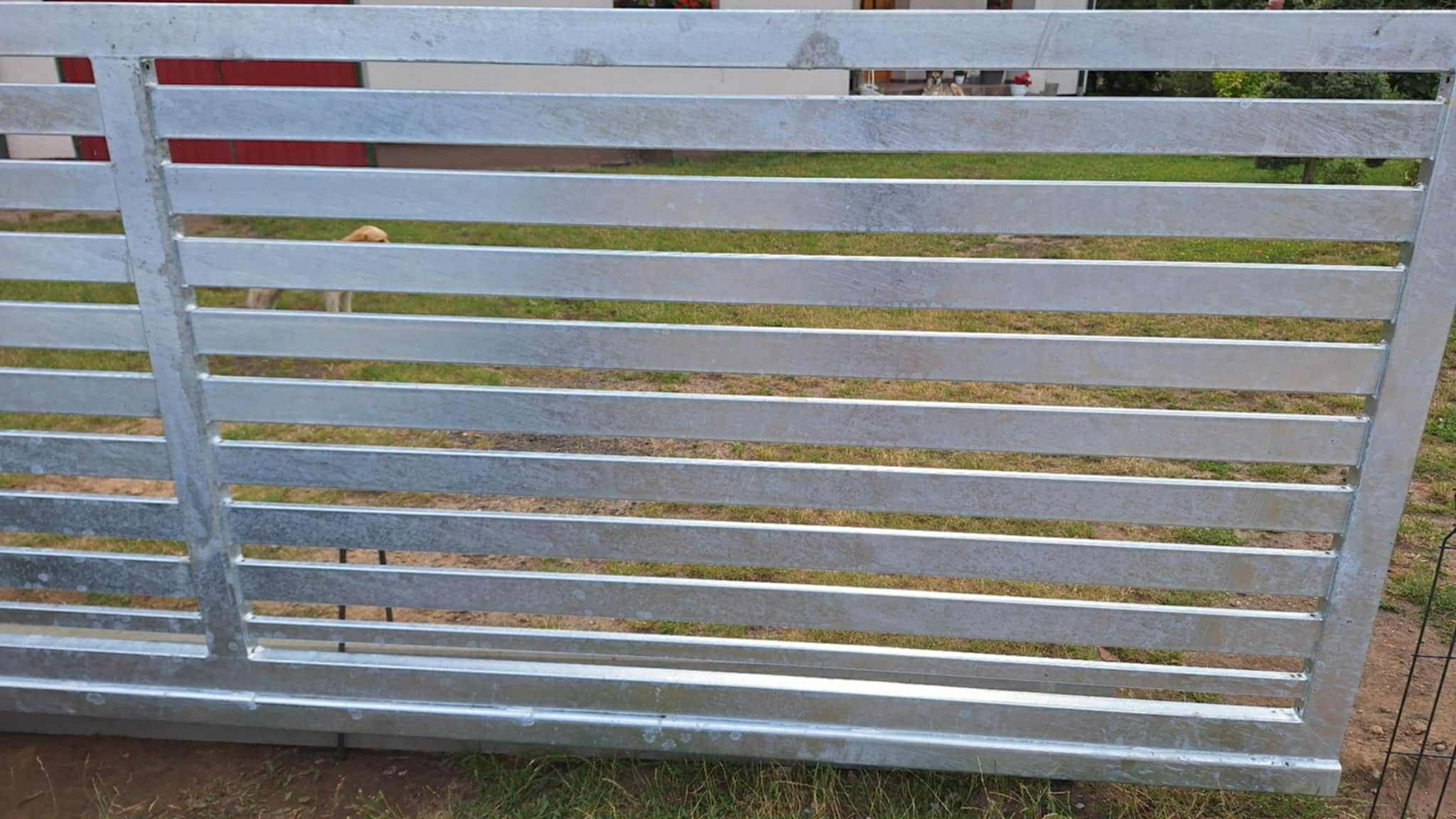 Szara metalowa brama wjazdowa z poziomymi szczeblami, przez które widać trawnik i fragment domu w tle. W tle widoczny pies.