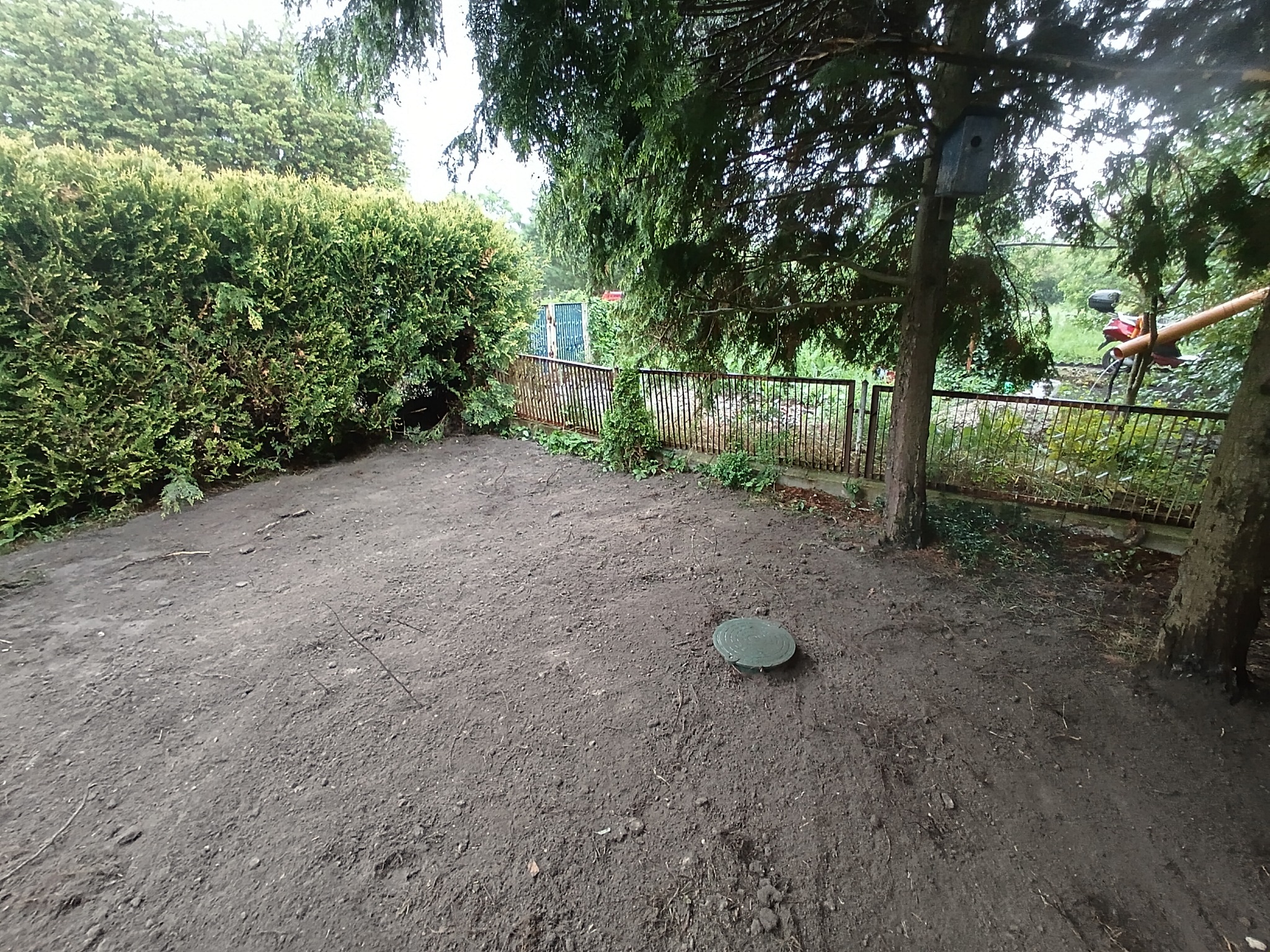 Teren po niwelacji z widocznym włazem kanalizacyjnym na działce z ogrodzeniem i zielenią. Prace ziemne przygotowawcze pod budowę.