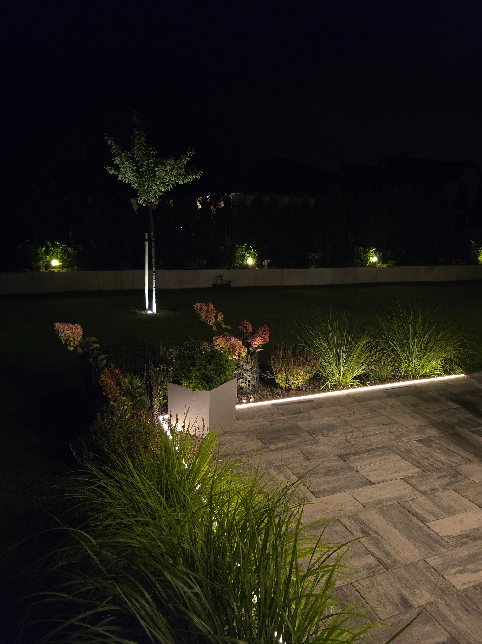Oświetlenie ogrodu nocą: podświetlone drzewo, rabaty z trawami ozdobnymi i kostka brukowa z liniowym światłem LED, tworzące nowoczesny, nastrojowy efekt.