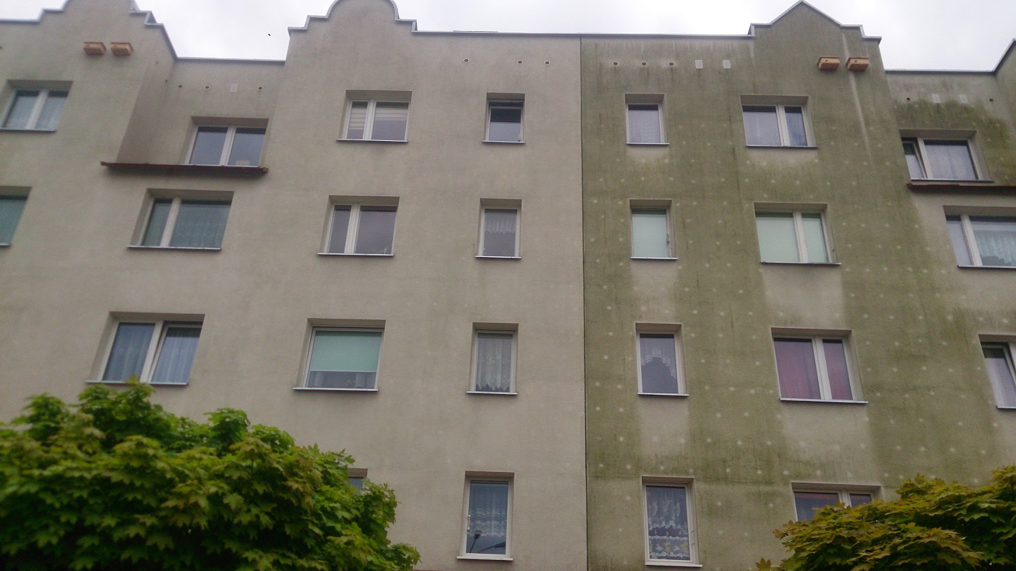 Budynek wielorodzinny, połowa elewacji wyczyszczona, widoczne różnice w kolorze i zabrudzeniach. Okna z firankami. Ujęcie z dołu, fragment drzewa w kadrze.