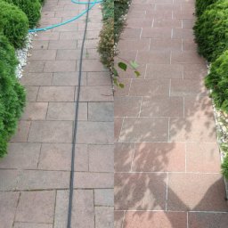 Firma Usługowo-Handlowa MK Clean Pressure Mariusz Kopala - Kostka brukowa przed i po czyszczeniu. Połowa powierzchni wyczyszczona, widoczna różnica w kolorze i usunięte zabrudzenia. W tle zielone krzewy.