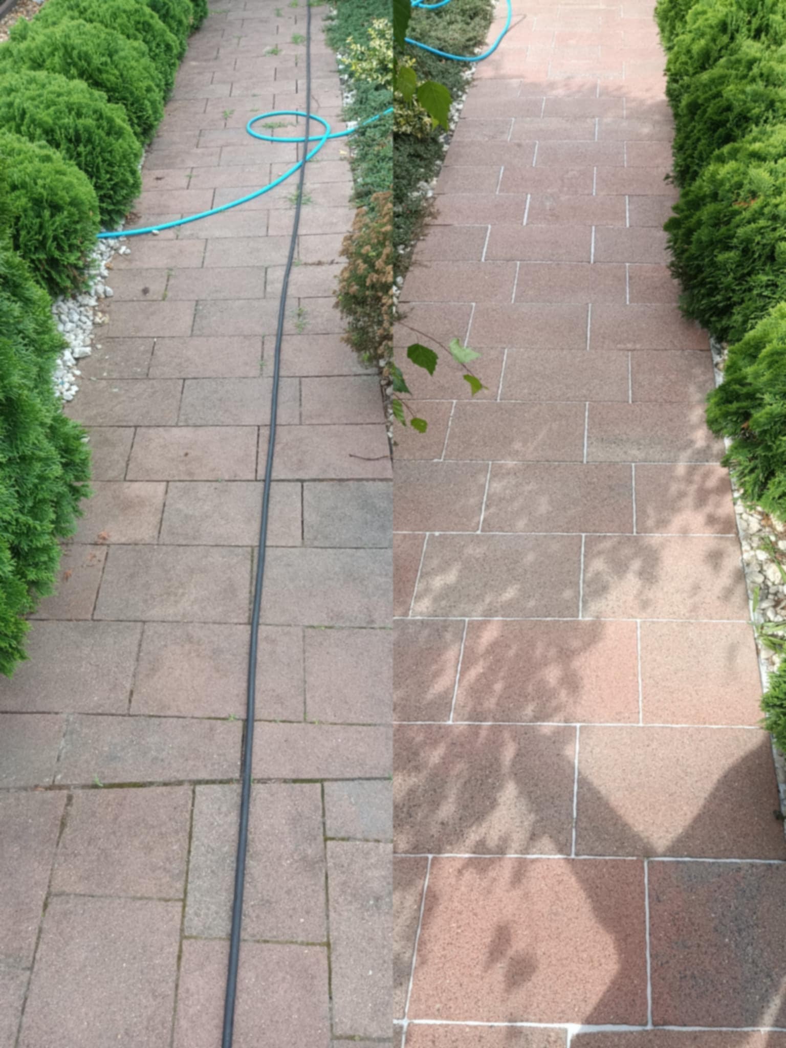 Kostka brukowa przed i po czyszczeniu. Połowa powierzchni wyczyszczona, widoczna różnica w kolorze i usunięte zabrudzenia. W tle zielone krzewy.