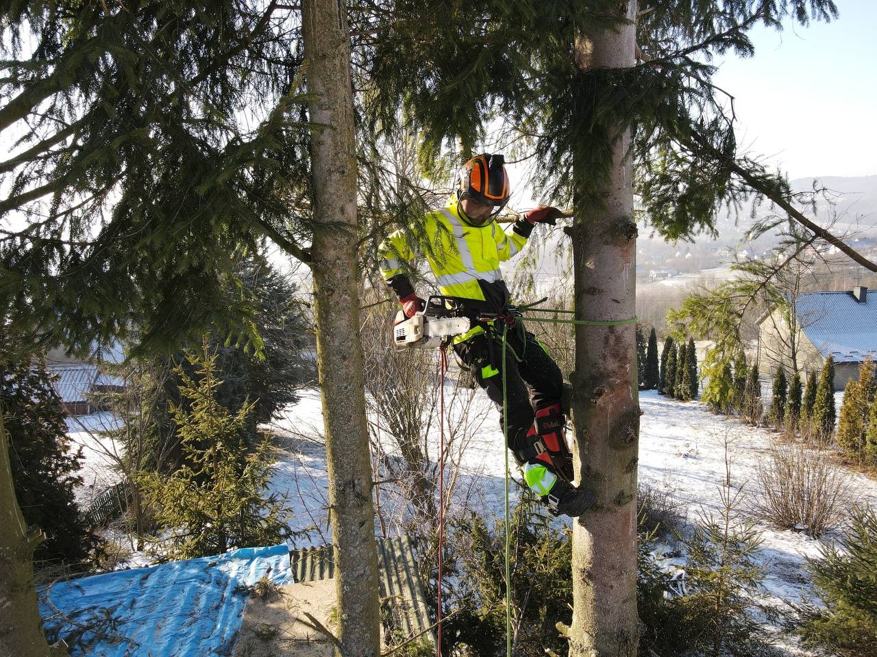 Arborysta w żółtej kurtce, z piłą, zabezpieczony linami, na drzewie podczas zimowego dnia. W tle ośnieżony krajobraz i zabudowania.
