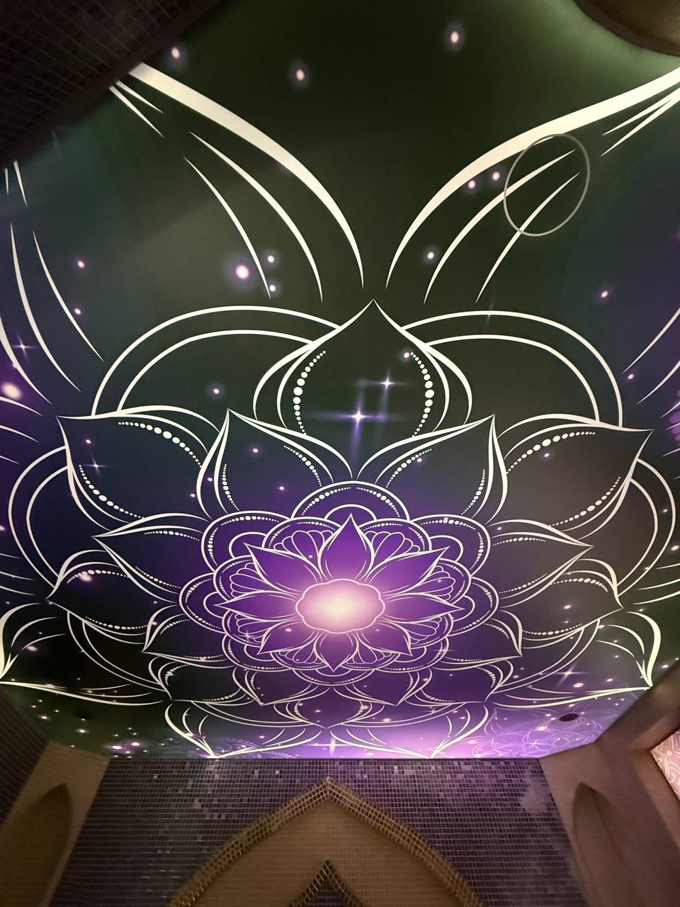 Ozdobny sufit z motywem kwiatu lotosu w odcieniach fioletu i bieli, z efektem gwiazd i delikatnym podświetleniem, tworzący unikalny i dekoracyjny element wnętrza.